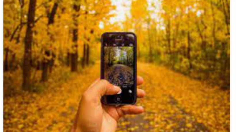 How to take great photos on your phone