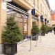 fashion stores in Chelsea